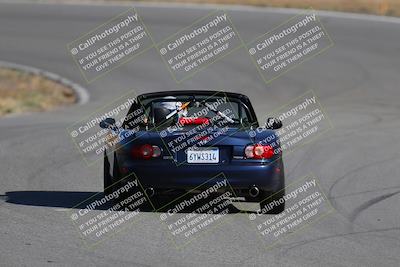 media/Nov-19-2023-Extreme Speed (Sun) [[bd0eec5490]]/Green/Back Shots/